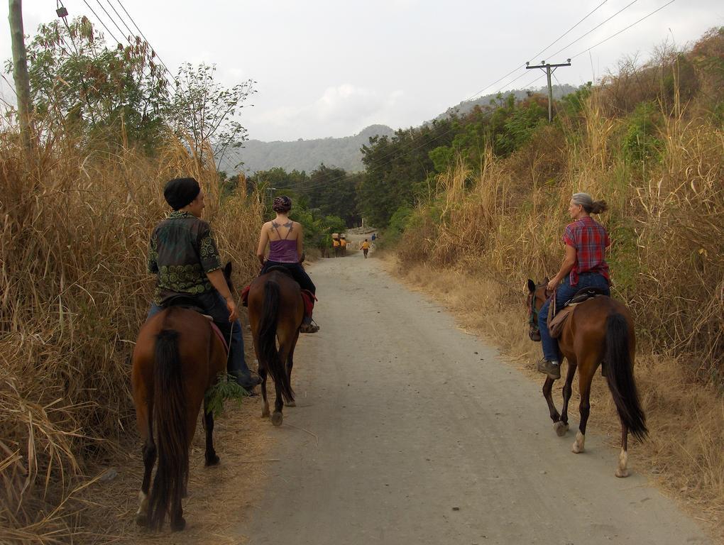 The Green Ranch 호텔 쿠마시 외부 사진