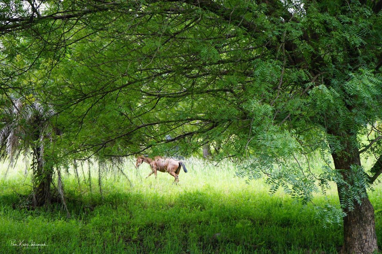 The Green Ranch 호텔 쿠마시 외부 사진